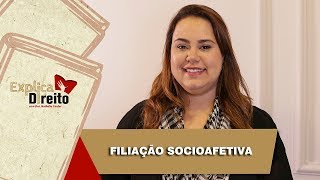 Explica Direito Filiação Socioafetiva  2019 [upl. by Dutch]