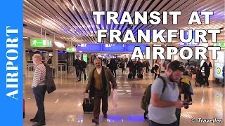 TRANSIT WALK AT FRANKFURT Airport FRA Terminal 1  Connection Flight Transfer Arriving amp Departing [upl. by Maurizia843]